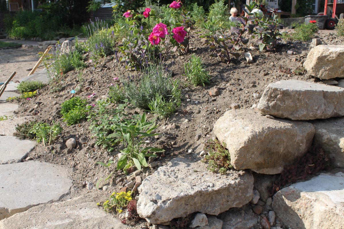 Der geheime Garten ⋆ Ræume